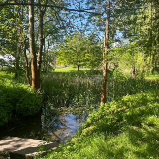 Spaziergang3