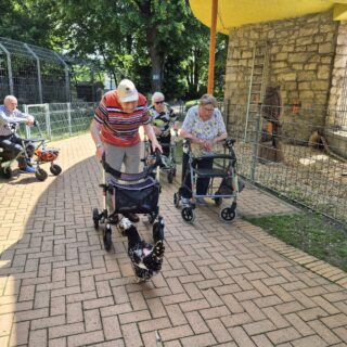Tierparkausflug11