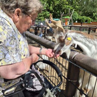 Tierparkausflug12