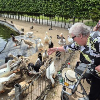 Tierparkausflug4
