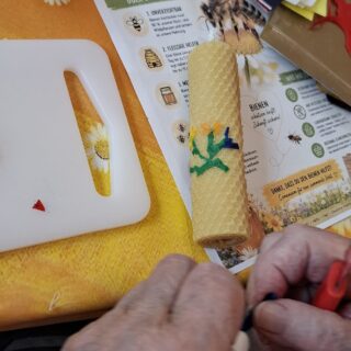 Weltbienentag6
